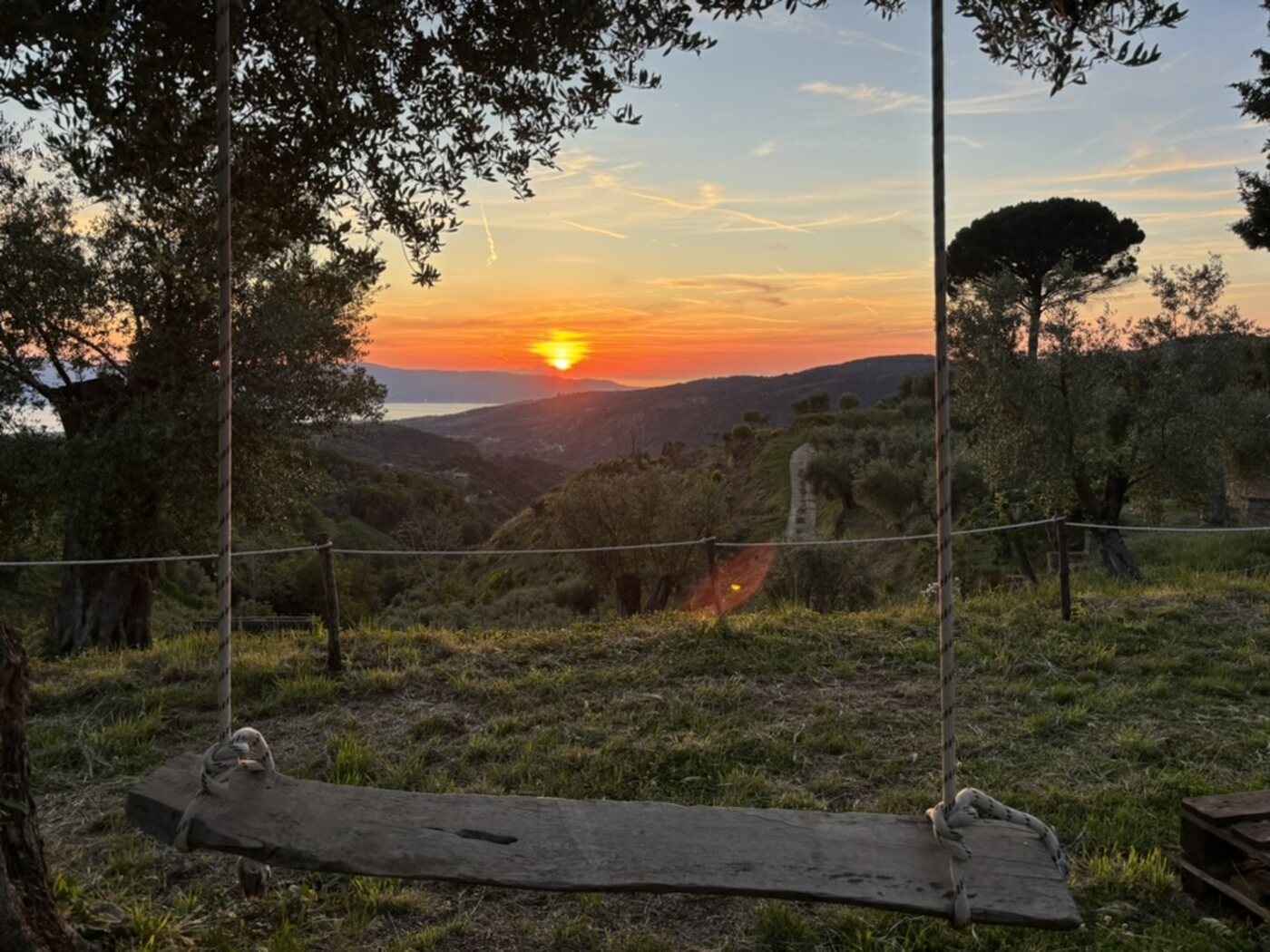 L'Altalena sull'Infinito di Gaya, tra ulivi al tramonto sullo Stretto