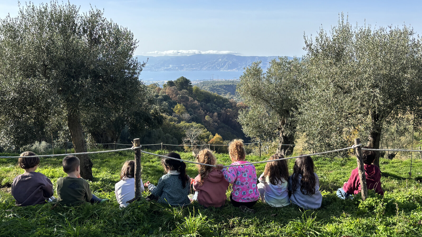 Bambini di Gaya seduti tra due ulivi, di spalle, mentre guardano il panorama dello Stretto verso la Sicilia