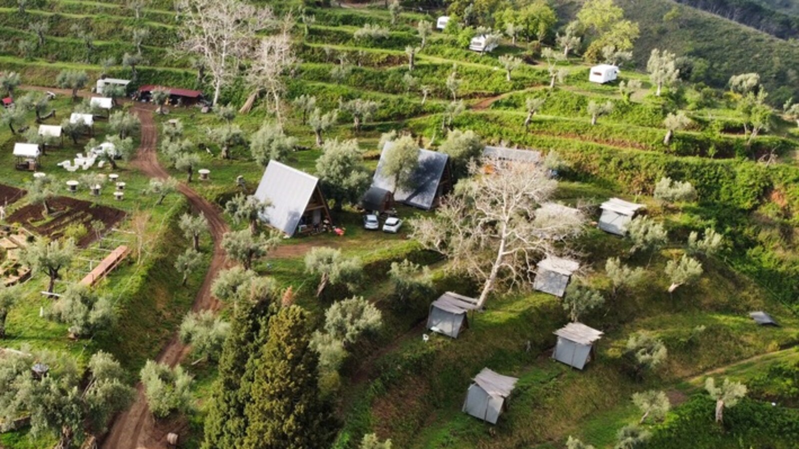 Vista drone delle dimore di Gaya: le A-frame del Seme al centro, le Tane delle Erbe sparse tra gli ulivi e le terrazze
