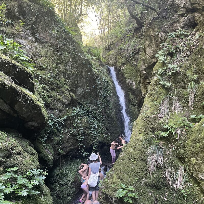 Sentiero verso le Cascate dell'Eremita, atmosfera del bosco profondo