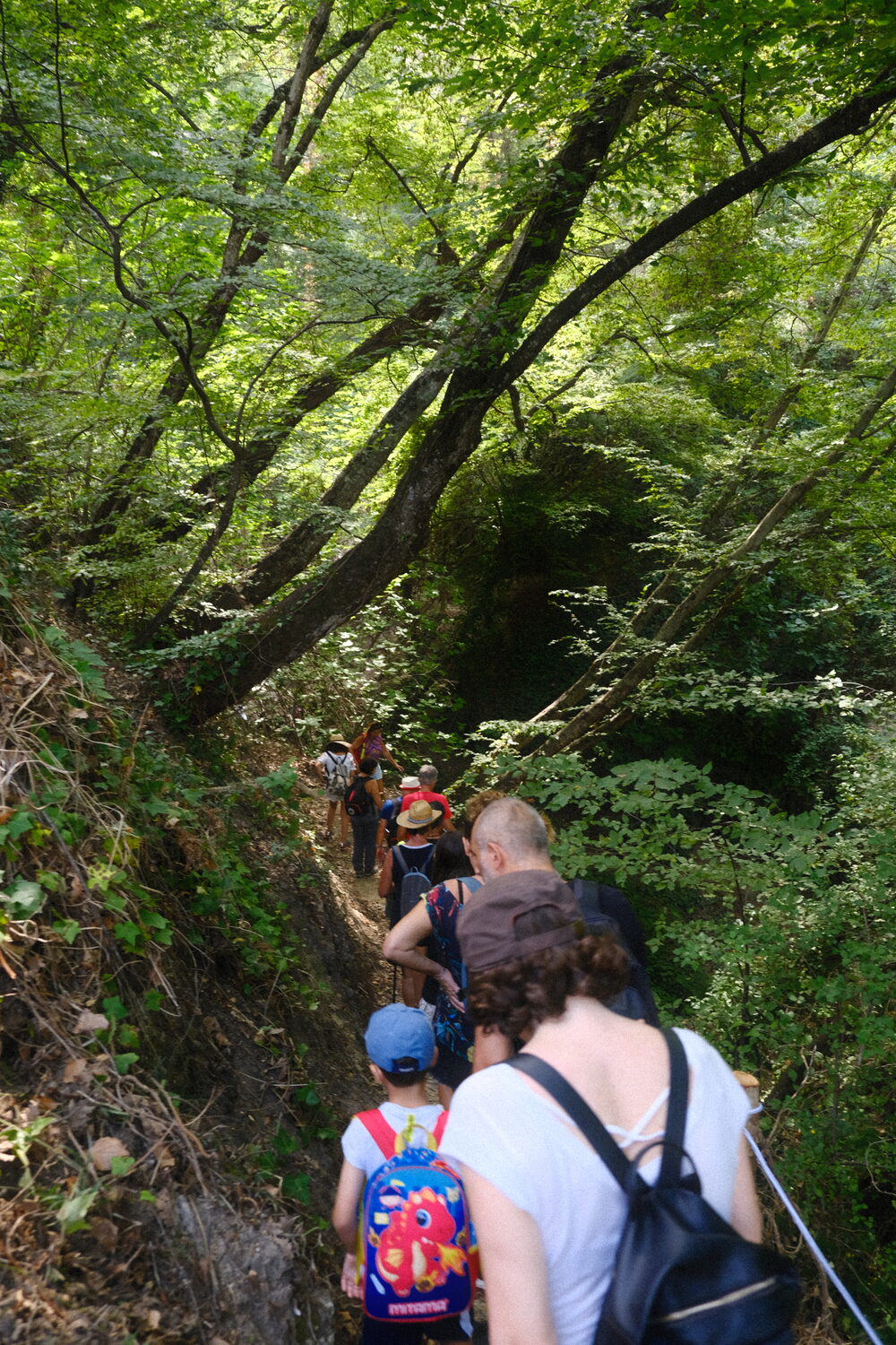 Gruppo in cammino sul sentiero del capelvenere a Gaya